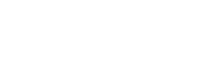 Council logo